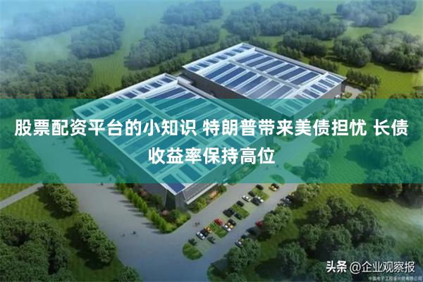 股票配资平台的小知识 特朗普带来美债担忧 长债收益率保持高位