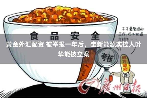 黄金外汇配资 被举报一年后，宝新能源实控人叶华能被立案