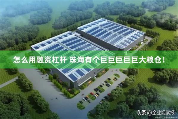 怎么用融资杠杆 珠海有个巨巨巨巨巨大粮仓！