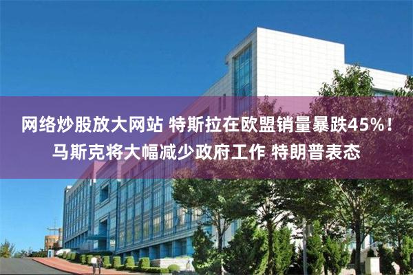 网络炒股放大网站 特斯拉在欧盟销量暴跌45%！马斯克将大幅减少政府工作 特朗普表态