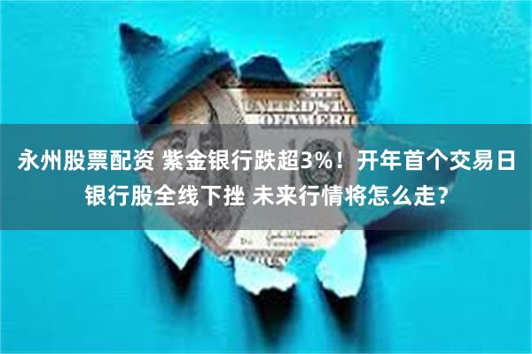 永州股票配资 紫金银行跌超3%！开年首个交易日银行股全线下挫 未来行情将怎么走？