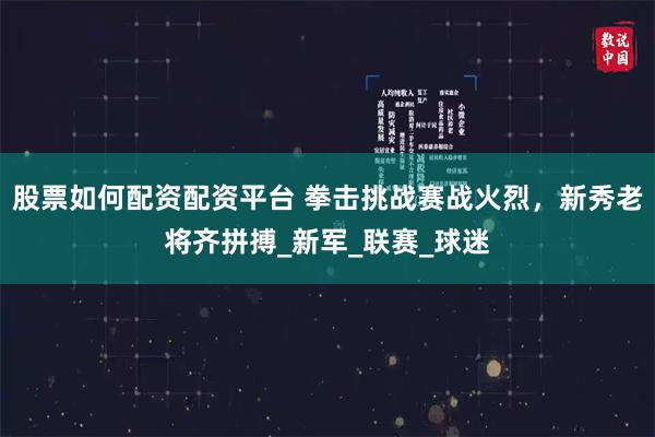 股票如何配资配资平台 拳击挑战赛战火烈，新秀老将齐拼搏_新军_联赛_球迷