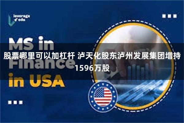 股票哪里可以加杠杆 泸天化股东泸州发展集团增持1596万股