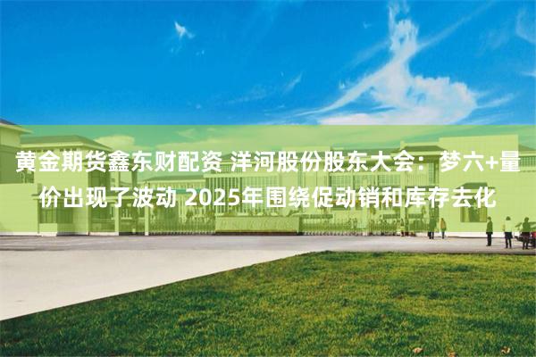 黄金期货鑫东财配资 洋河股份股东大会：梦六+量价出现了波动 2025年围绕促动销和库存去化