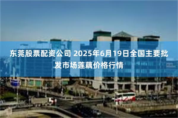 东莞股票配资公司 2025年6月19日全国主要批发市场莲藕价格行情