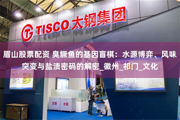 眉山股票配资 臭鳜鱼的基因盲棋：水源博弈、风味突变与盐渍密码的解密_徽州_祁门_文化