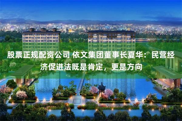 股票正规配资公司 依文集团董事长夏华：民营经济促进法既是肯定，更是方向