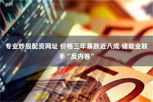 专业炒股配资网址 价格三年暴跌近八成 储能业联手“反内卷”