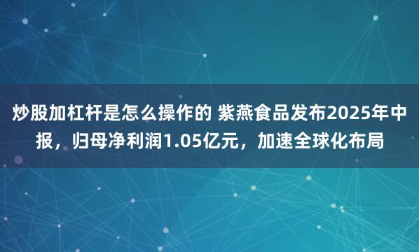 炒股加杠杆是怎么操作的 紫燕食品发布2025年中报，归母净利润1.05亿元，加速全球化布局