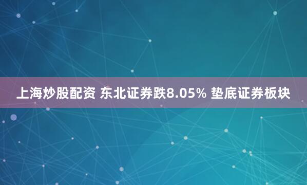 上海炒股配资 东北证券跌8.05% 垫底证券板块