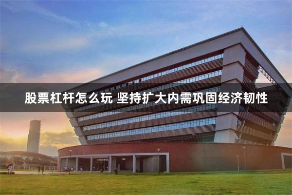 股票杠杆怎么玩 坚持扩大内需巩固经济韧性