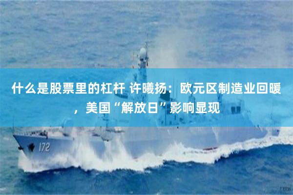什么是股票里的杠杆 许曦扬：欧元区制造业回暖，美国“解放日”影响显现