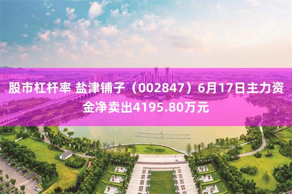 股市杠杆率 盐津铺子（002847）6月17日主力资金净卖出4195.80万元