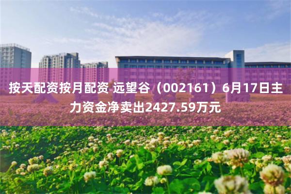 按天配资按月配资 远望谷（002161）6月17日主力资金净卖出2427.59万元