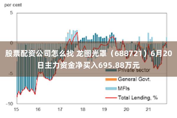 股票配资公司怎么找 龙图光罩（688721）6月20日主力资金净买入695.88万元
