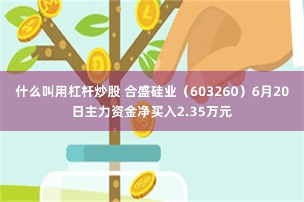 什么叫用杠杆炒股 合盛硅业（603260）6月20日主力资金净买入2.35万元