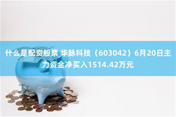 什么是配资股票 华脉科技(603042)6月20日主力资金净买入1514.42万元