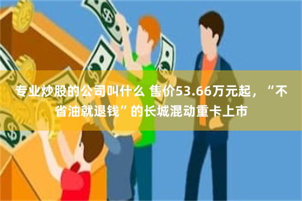 专业炒股的公司叫什么 售价53.66万元起，“不省油就退钱”的长城混动重卡上市