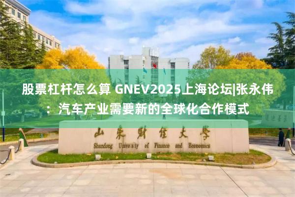 股票杠杆怎么算 GNEV2025上海论坛|张永伟：汽车产业需要新的全球化合作模式
