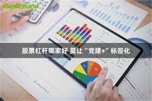 股票杠杆哪家好 莫让“党建+”标签化