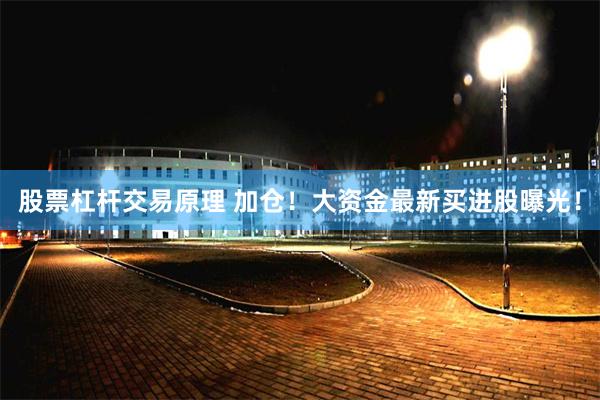 股票杠杆交易原理 加仓！大资金最新买进股曝光！