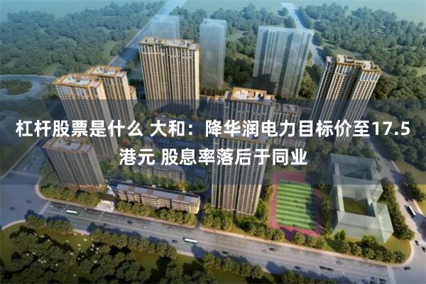 杠杆股票是什么 大和：降华润电力目标价至17.5港元 股息率落后于同业