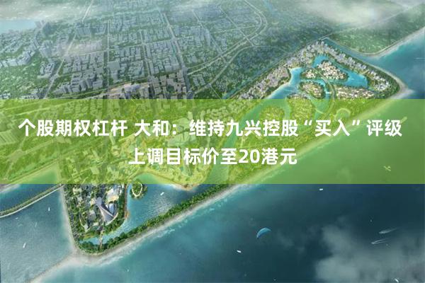 个股期权杠杆 大和：维持九兴控股“买入”评级 上调目标价至20港元