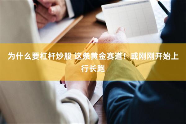 为什么要杠杆炒股 这条黄金赛道!或刚刚开始上行长跑