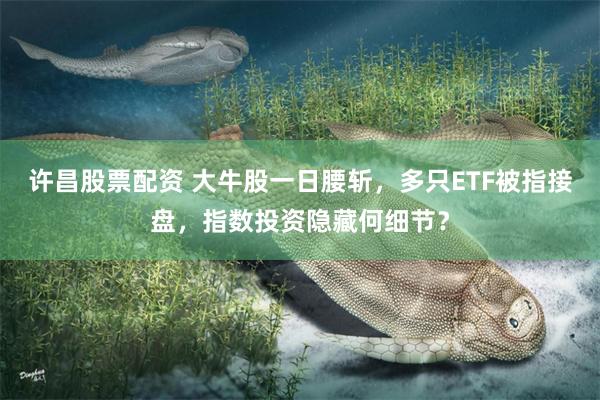 许昌股票配资 大牛股一日腰斩，多只ETF被指接盘，指数投资隐藏何细节？