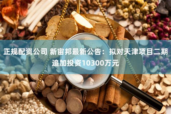 正规配资公司 新宙邦最新公告：拟对天津项目二期追加投资10300万元