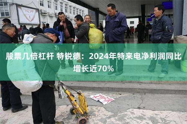 股票几倍杠杆 特锐德：2024年特来电净利润同比增长近70%