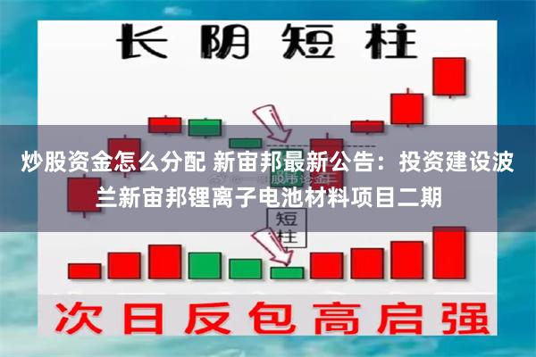 炒股资金怎么分配 新宙邦最新公告:投资建设波兰新宙邦锂离子电池材料项目二期