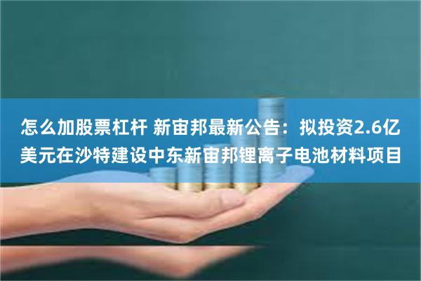 怎么加股票杠杆 新宙邦最新公告：拟投资2.6亿美元在沙特建设中东新宙邦锂离子电池材料项目