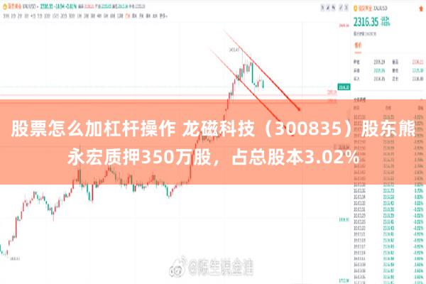 股票怎么加杠杆操作 龙磁科技（300835）股东熊永宏质押350万股，占总股本3.02%