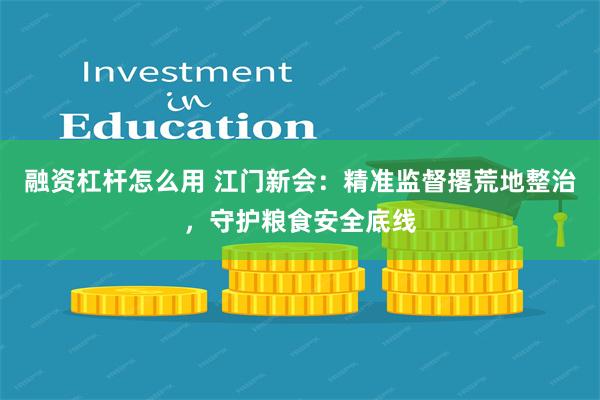 融资杠杆怎么用 江门新会：精准监督撂荒地整治，守护粮食安全底线