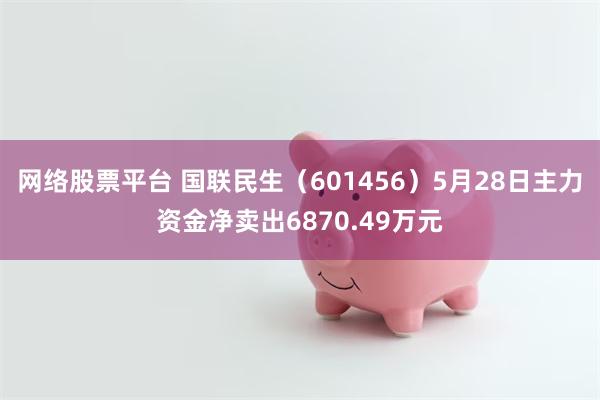 网络股票平台 国联民生（601456）5月28日主力资金净卖出6870.49万元