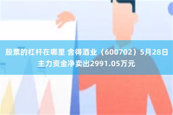 股票的杠杆在哪里 舍得酒业(600702)5月28日主力资金净卖出2991.05万元