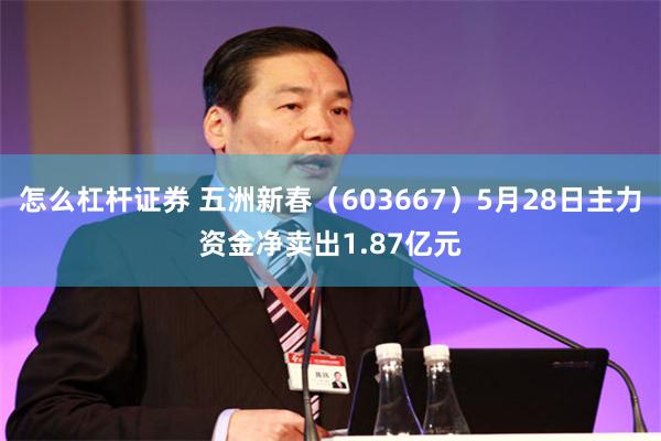 怎么杠杆证券 五洲新春(603667)5月28日主力资金净卖出1.87亿元