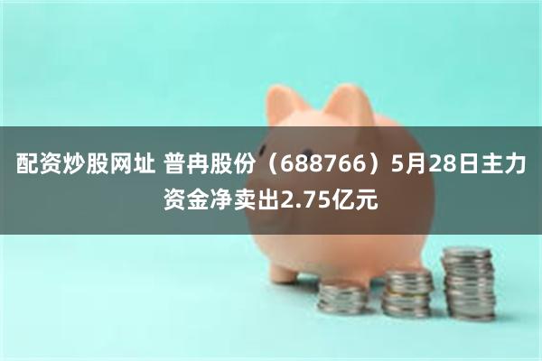 配资炒股网址 普冉股份（688766）5月28日主力资金净卖出2.75亿元
