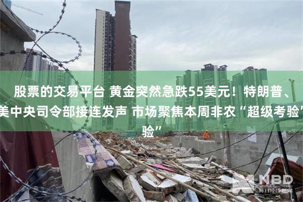 股票的交易平台 黄金突然急跌55美元!特朗普、美中央司令部接连发声 市场聚焦本周非农“超级考验”