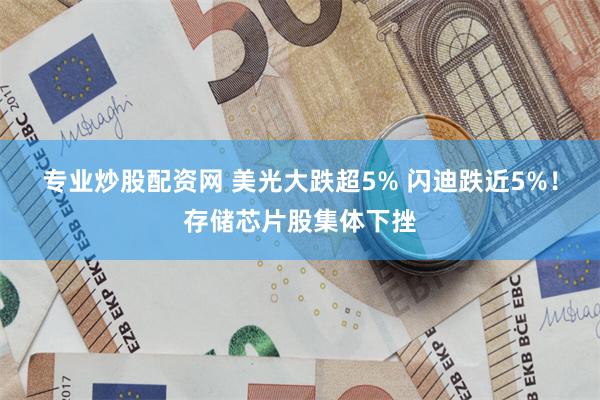 专业炒股配资网 美光大跌超5% 闪迪跌近5%！存储芯片股集体下挫
