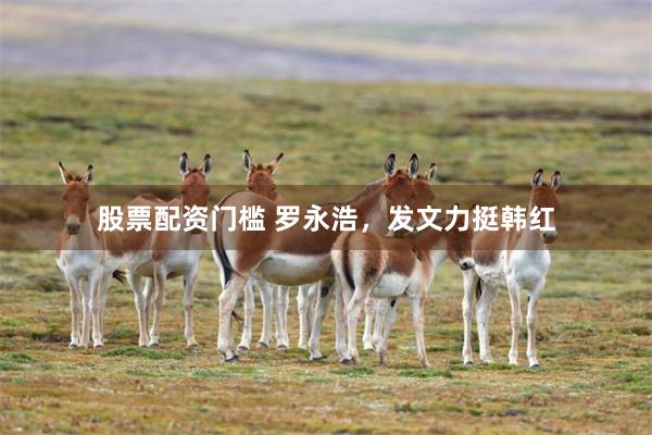 股票配资门槛 罗永浩,发文力挺韩红