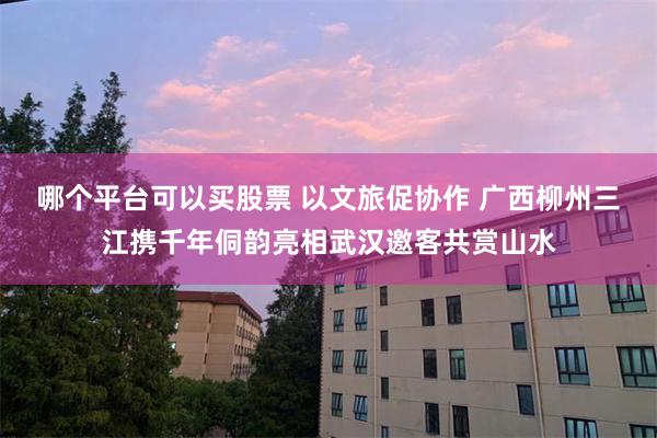 哪个平台可以买股票 以文旅促协作 广西柳州三江携千年侗韵亮相武汉邀客共赏山水