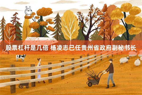股票杠杆是几倍 杨凌志已任贵州省政府副秘书长