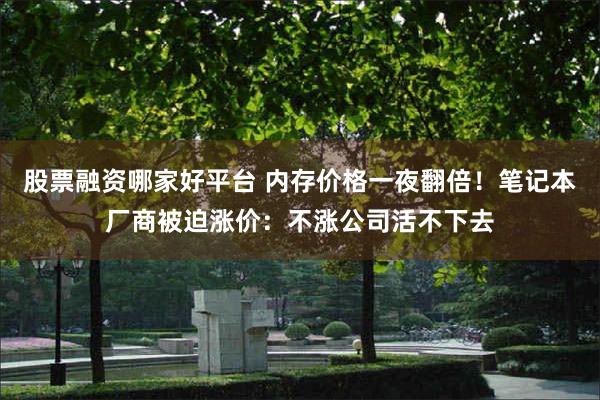 股票融资哪家好平台 内存价格一夜翻倍!笔记本厂商被迫涨价:不涨公司活不下去