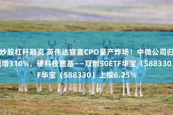 炒股杠杆融资 英伟达官宣CPO量产炸场！中微公司归母净利最高预增310%，硬科技宽基——双创50ETF华宝（588330）上探6.25%