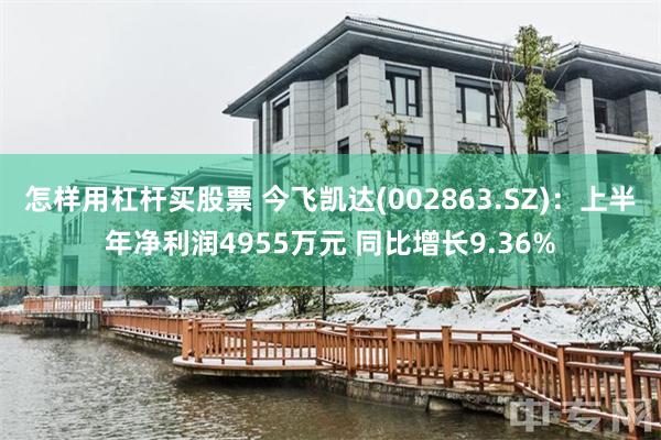 怎样用杠杆买股票 今飞凯达(002863.SZ):上半年净利润4955万元 同比增长9.36%