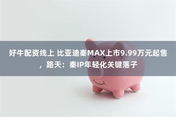 好牛配资线上 比亚迪秦MAX上市9.99万元起售，路天：秦IP年轻化关键落子