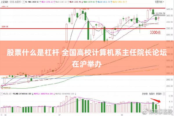 股票什么是杠杆 全国高校计算机系主任院长论坛在沪举办