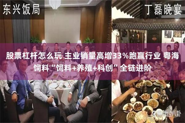 股票杠杆怎么玩 主业销量高增33%跑赢行业 粤海饲料“饲料+养殖+科创”全链进阶